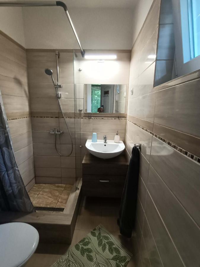 Toelgyfa Vendeghaz Otel Balatonszepezd Dış mekan fotoğraf